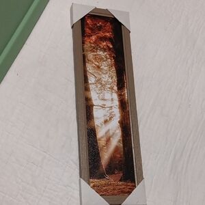 Sunlit Forest Wall Art